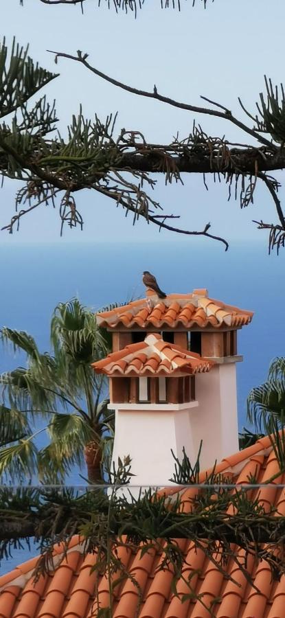 Casa Moja - La Palma Villa Tazacorte Exterior photo